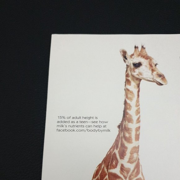 DC Comics The New 52 Comics 3 Batman and Robin Tomasi Gleason Gray Jan 2012 - Picture 7 of 10